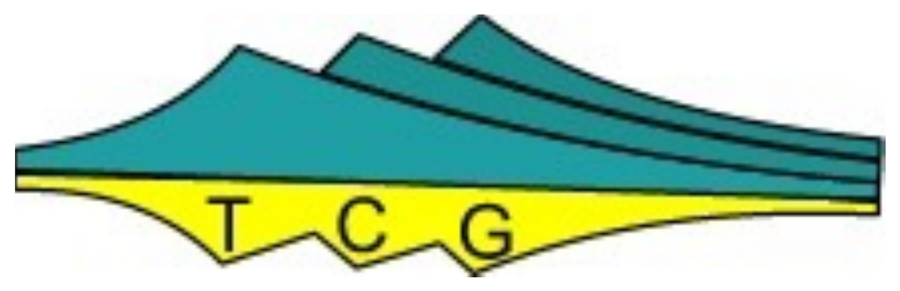 Logótipo TCG 1992 – 1999